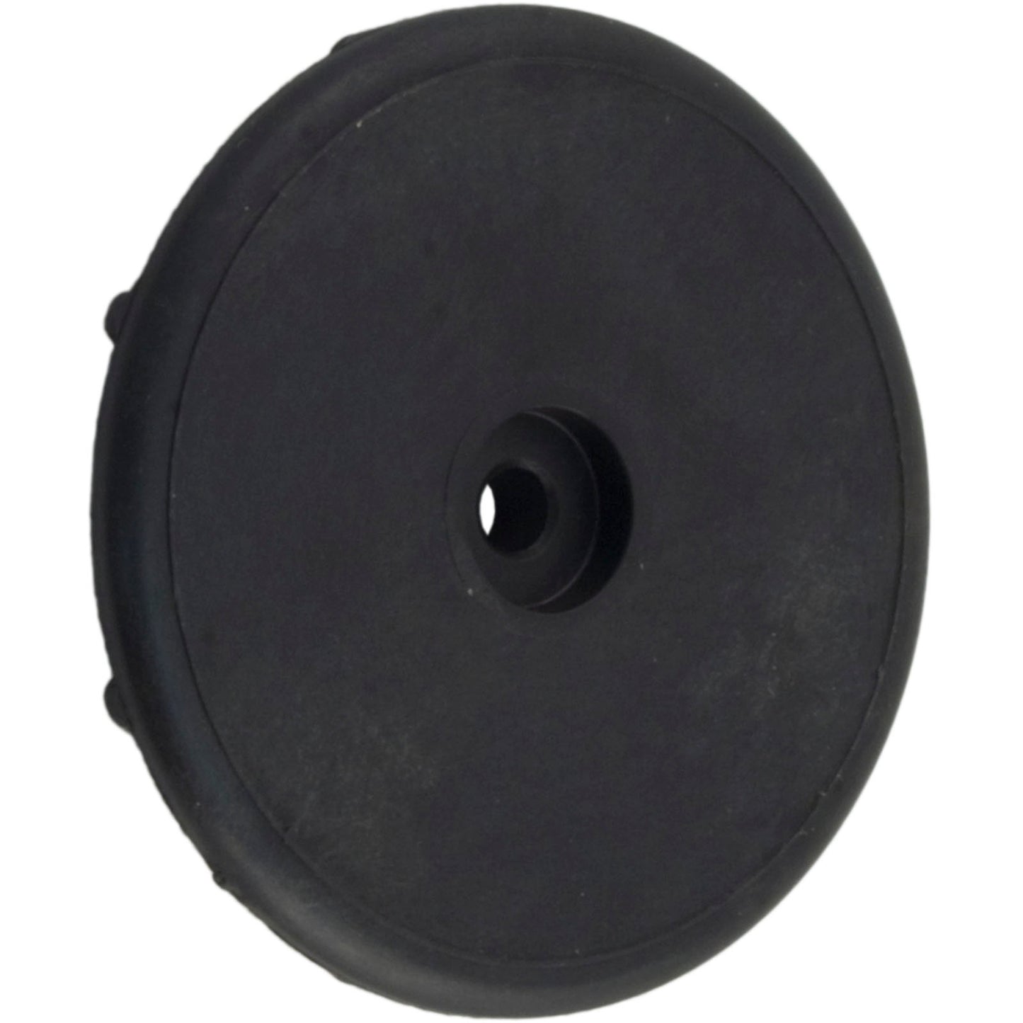 Control Panel Cover Retainer Cap, Pentair Max-E-Therm