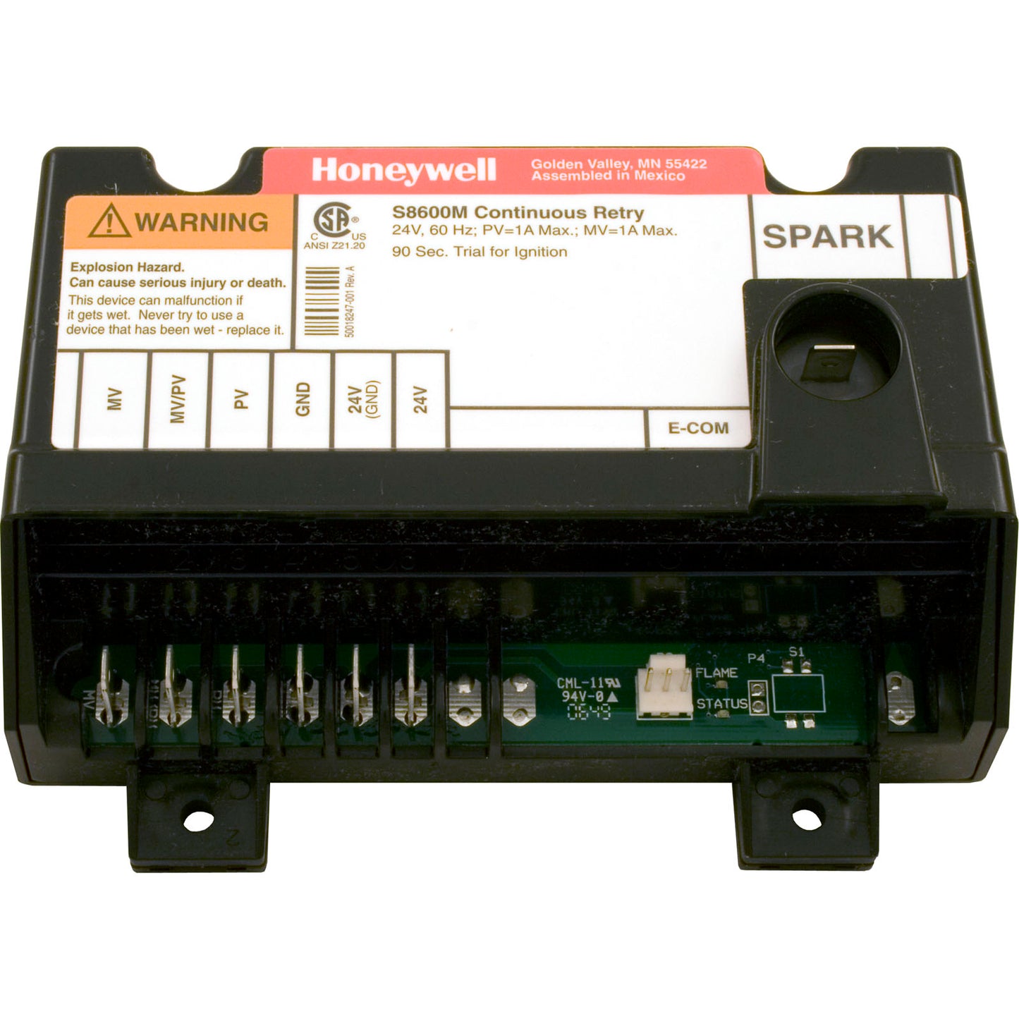 Module, Pentair Minimax/Minimax Plus/PowerMax/TI, Nat.