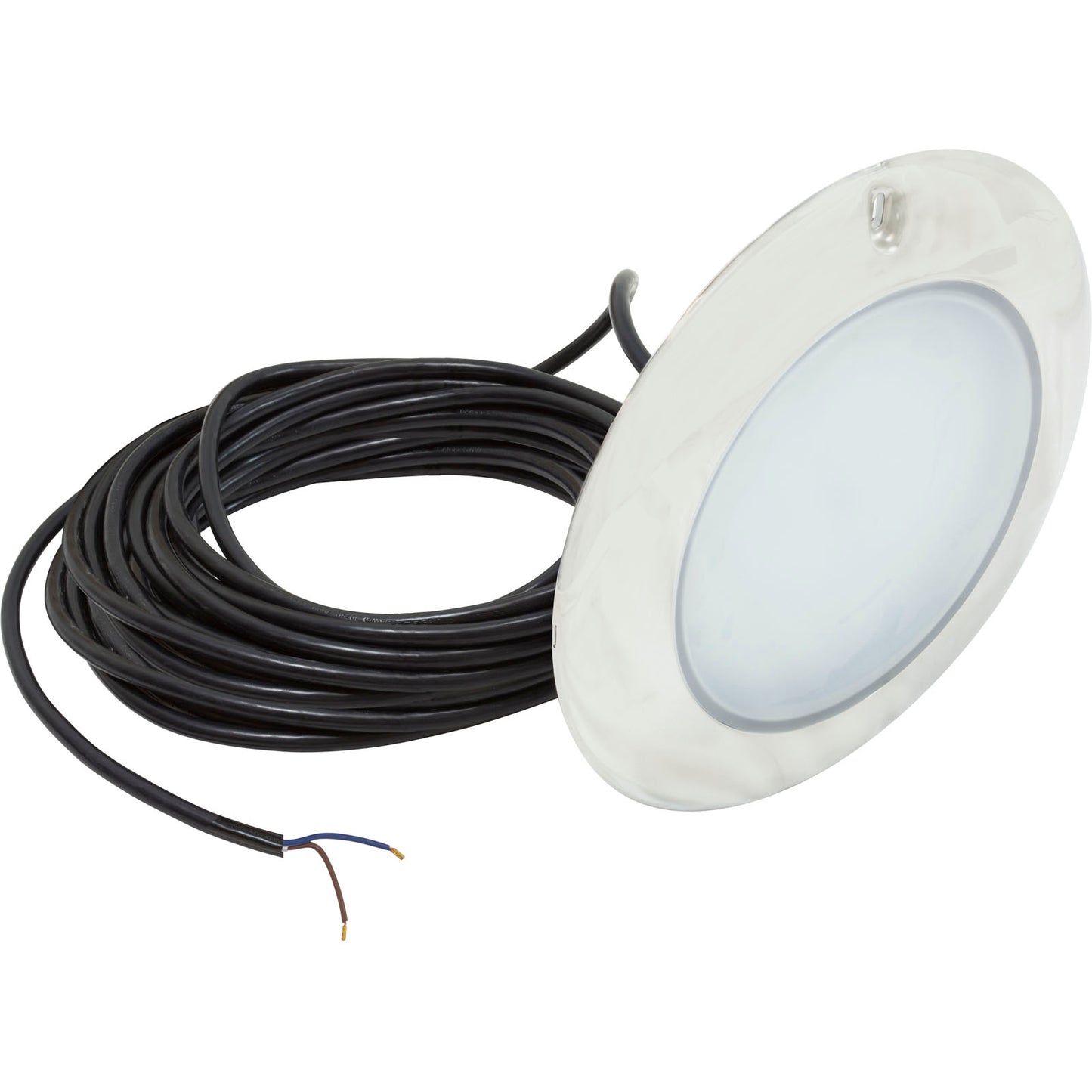 PAL 2Wire Lrg Nch Evenglow CW Pool Lt,80ft,12VAC/12VDC/24VDC