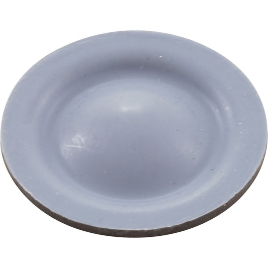 Diaphragm, Blue-White A-600 Chemical Pump, EP/PTFE