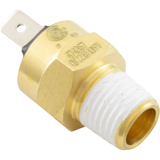 Hi-Limit Switch,Pentair Max-E-Therm/MasterTemp,1/4" - 18npt