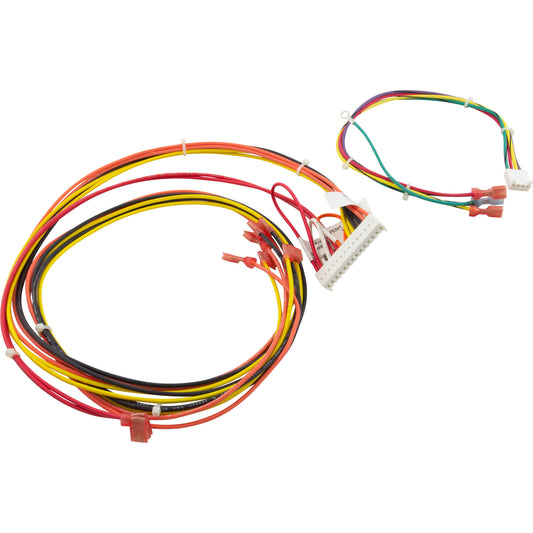 Wire Harness, Raypak 156A, Digital