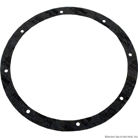 Light Niche Gasket Kit, Pentair Amerlite, 8-Hole, Vinyl