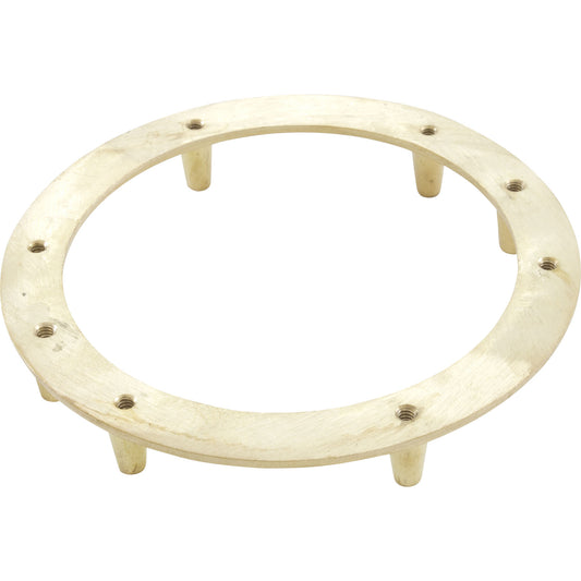 Light Niche Backup Ring, Pentair, AquaLight, Tapped, SS