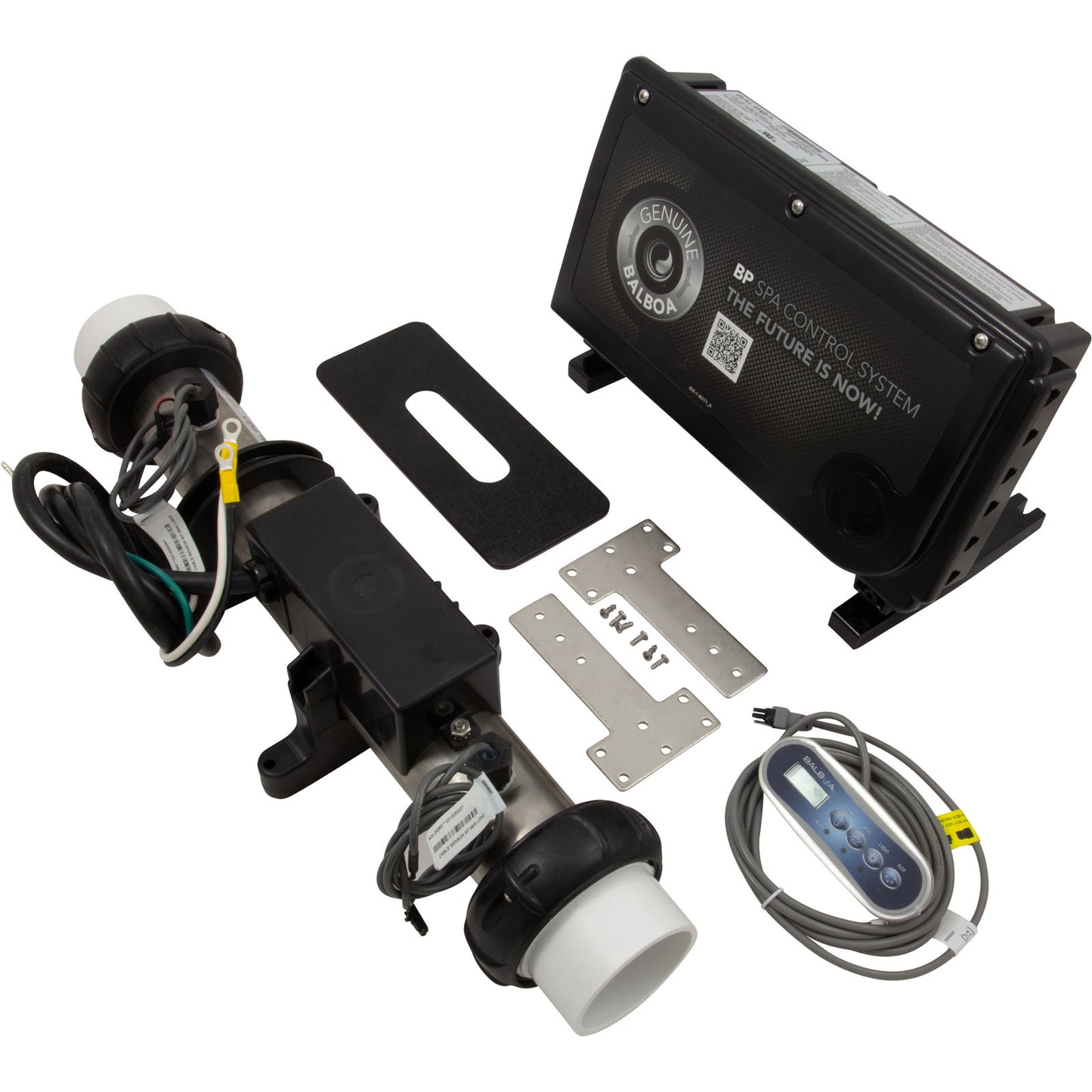 Control, BWG BP100G2, P1, P2, w/ 4.0kW Remote Heater, TP200T